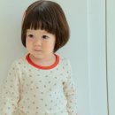 오뜨플라워 네이버블로그