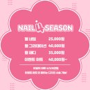 네일포시즌