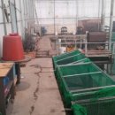 산내들낚시터 이미지