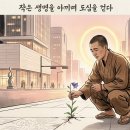 불교개구리
