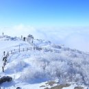 베스트태권도 | 무주 가볼만한 곳 베스트10 추천 (자세히)