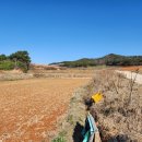 미암면사무소 이미지