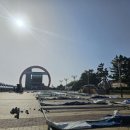 호미곶돌문어 이미지