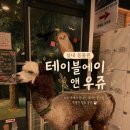 인천 이색 데이트 추천｜테이블 에이 앤 우쥬 실내동물원 후기
