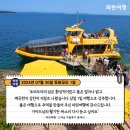 물빛꽃섬 | [캐나다 여름 힐링여행지 토버모리] '파란여행' 토버모리 1일 여행 후기(2024. 07.20)