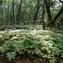 백암농원 이미지