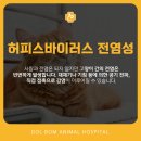 녹양돌봄동물병원 이미지