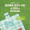 할리베어 이미지