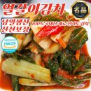 건채담