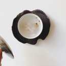 우리집곰탕 이미지