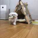 2019 후기 2