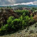 음악으로배우는영어 이미지