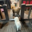 별과 달 이야기 펜션2 이미지