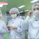 우리효라이프