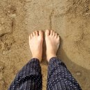 삼성연합속내과의원 이미지