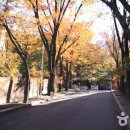 성신 이미지