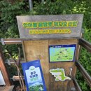 아이스크림스토리대림동산점 | 충북 제천, 단양 여행 후기 | 친구 10명이서 1박2일