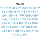 샛도리물 이미지