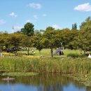 용산가족공원 이미지