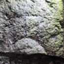 창원 성산패총 이미지