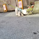 행복한요나네 이미지