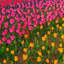 유수정행정사사무소 이미지