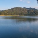 보훈행정사사무소 이미지