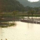 수변공원(1-4) 이미지