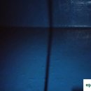 티엠에스 (TMS) 이미지