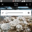산아래 농장 이미지