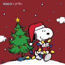 제이트리 이미지