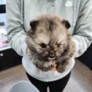 장수서창동-3 이미지