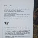 웰니스센터