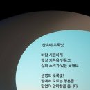 초록바람 Daum카페
