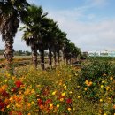 전기차충전소_서부농업기술센터 이미지