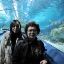 부국식당 이미지