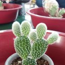 엠마우스복지관 이미지