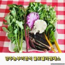 농부의 꿈 이미지