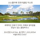 소노펠리체 컨트리클럽 비발디파크 웨스트 티스토리