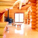 나무향 가득 이미지