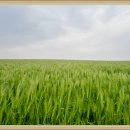 학원농장민박 이미지