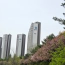 새싹공원(박물관공원 옆) 이미지