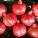 황영농장 이미지