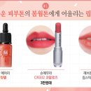 베라메이크업