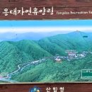 용대자연휴양림캠핑장 이미지