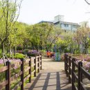 미소길탐방쉼터 이미지