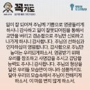 콩깍지 이미지