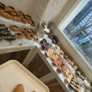 영베이크샵 | [대전] 콜드버터베이크샵 시청점 | 소금빵부터 초코바게트까지 | 내돈내산 후기 메뉴 추천