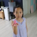 퍼피애견 이미지