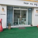 디어 마이 독 이미지